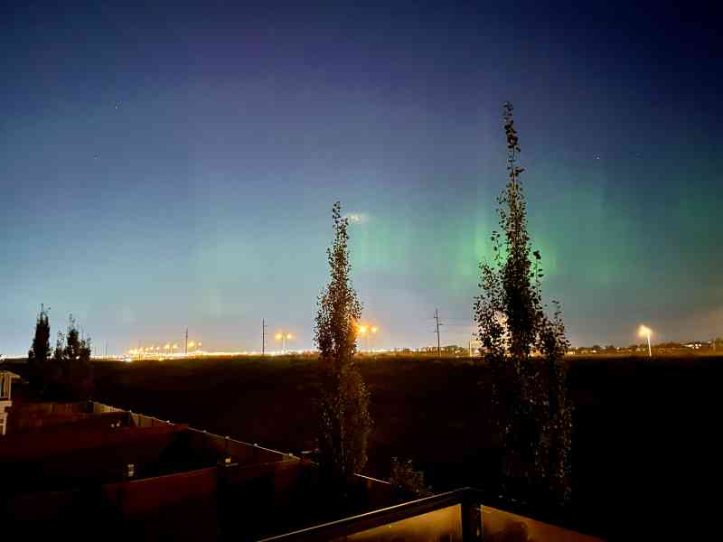 Calgary Northern Lights